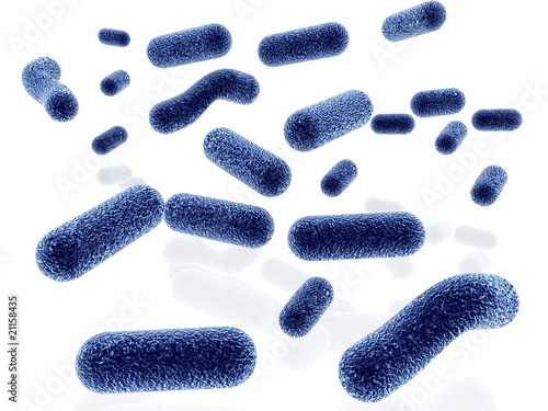 bacteria isolated on white