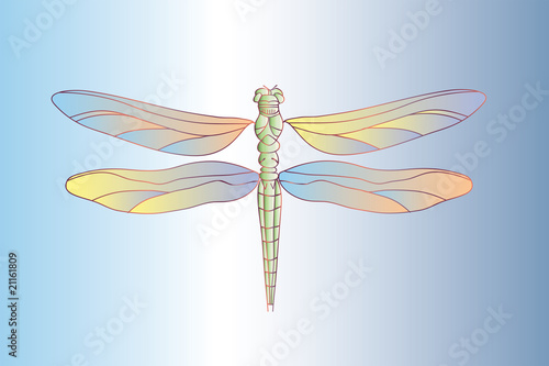 dragonfly with bright colours