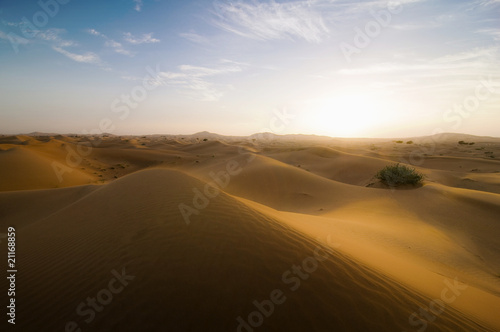 Sahara_1 © danielschoenen