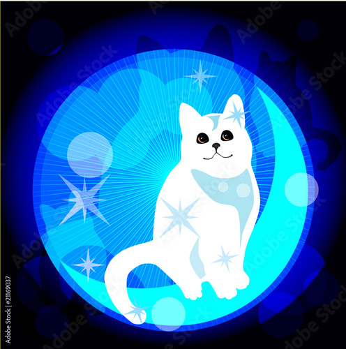 dreaming cat