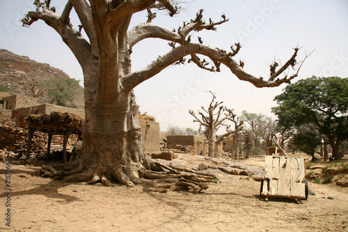 Fotografie village dogon
