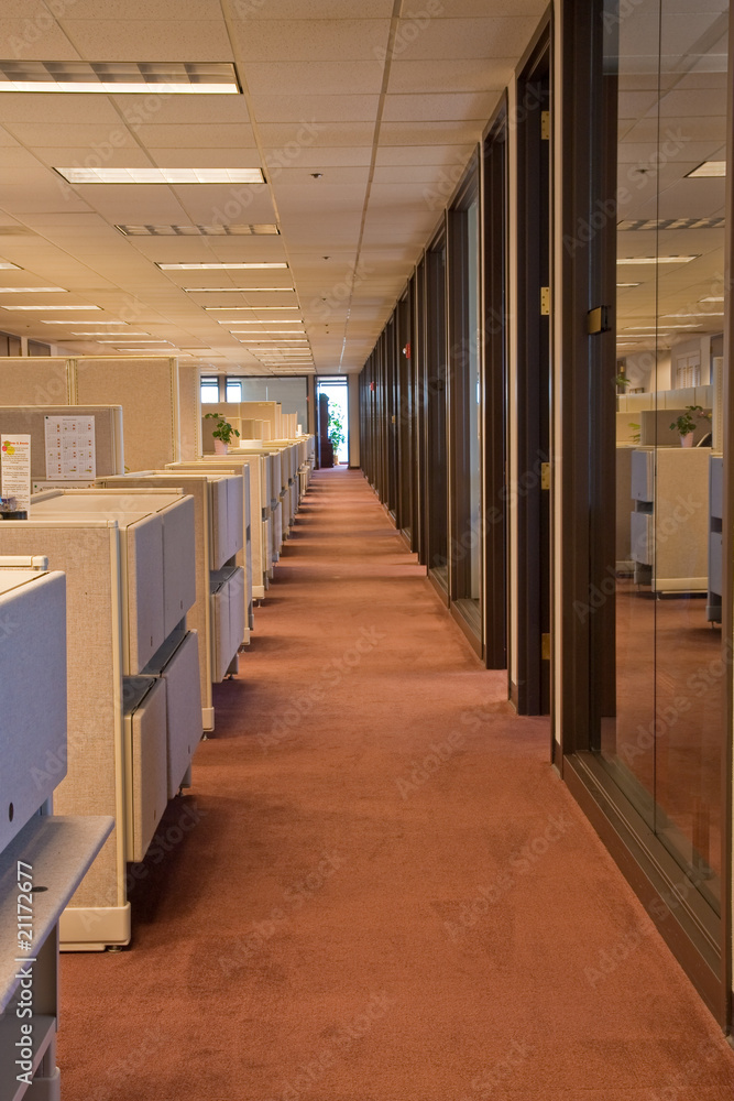 Line of Cubicles