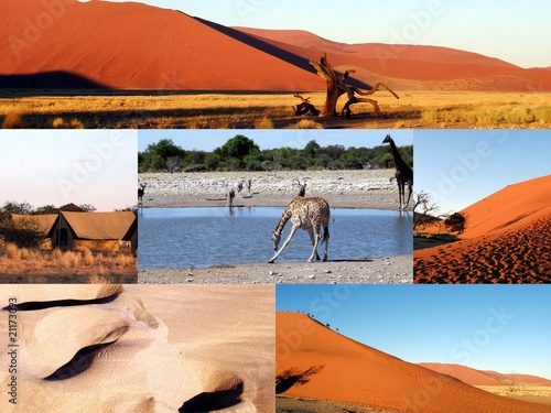 Namibie entre d  sert et parc naturel