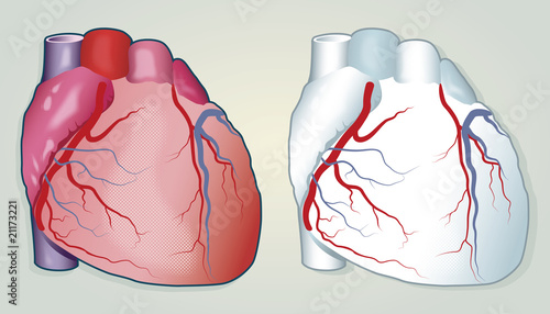 Hearts