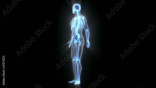 3D X-ray human with bone growth and rotated– HD, Loopable