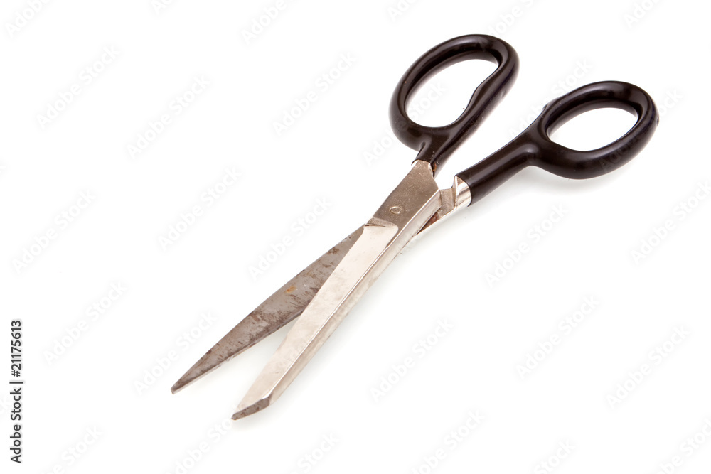 Scissors for cutting Scissors for cutting