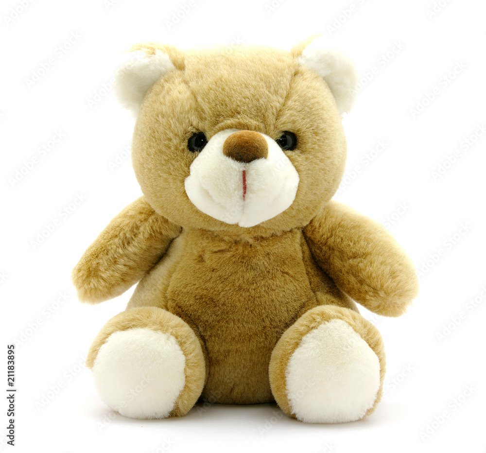 Obraz premium Teddy Bear