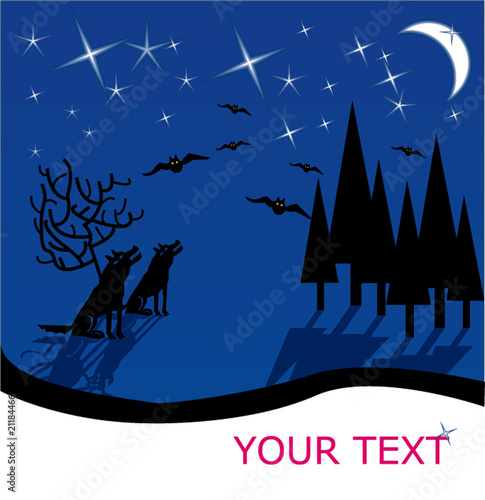 Lupi e notte
