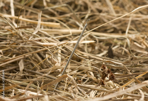 Valokuva Needle in a haystack close up