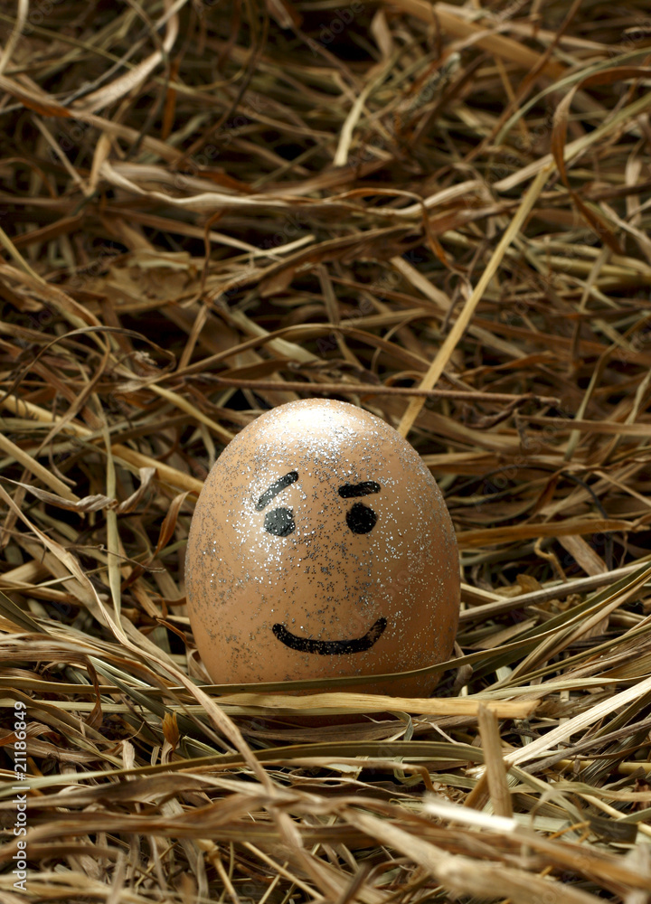 Obraz premium Smiley egg in nest