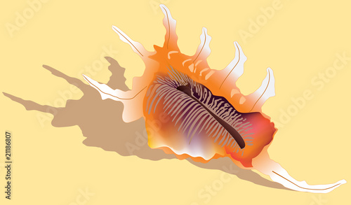 cockleshell