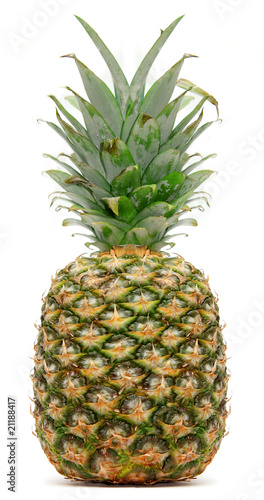 Pineapple on a white background © dred2010