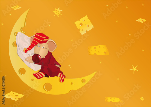 Sleeping mouse and the cheese country