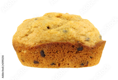 Single chocolate chip muffin