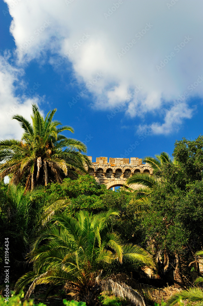 castle of hyeres behind palm trees