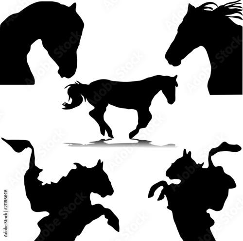 horse silhouettes vector