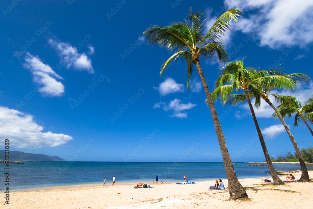 Obraz premium ハレイワビーチ(Haleiwa Beach)