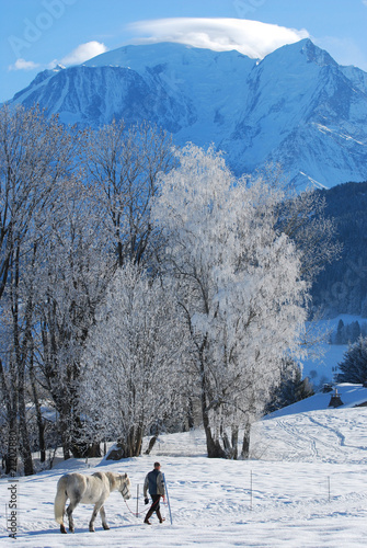Cheval et Mont Blanc