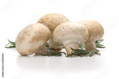 Fresh-cut mushrooms champignon