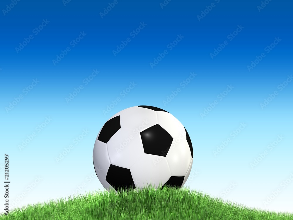 Fototapeta premium soccer ball