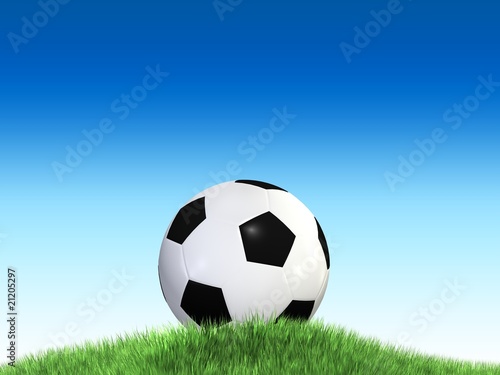 soccer ball © vegefox.com