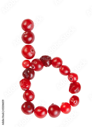 b letter made from cranberry