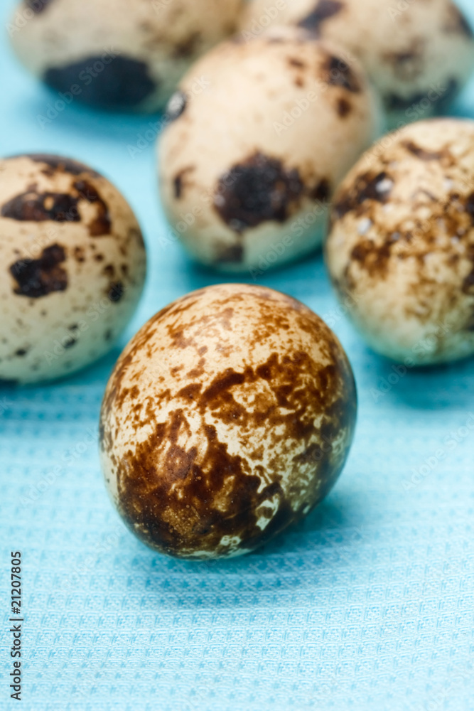 Obraz premium Quail eggs