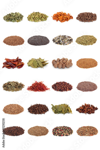 Spice and Herb Collection photo