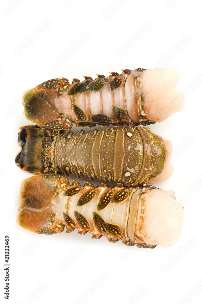 Lobster tail