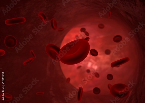 Blood Circulation  3d