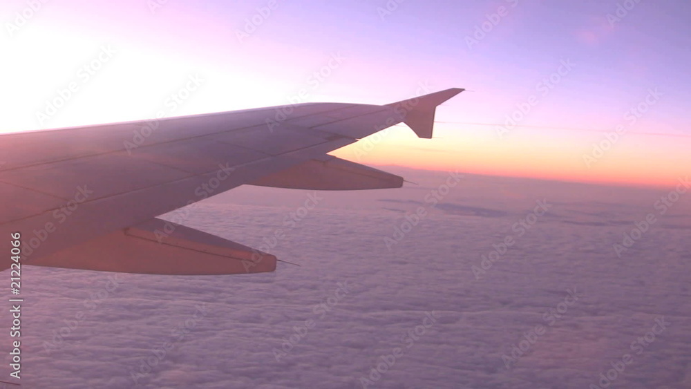 Morning Flight Morning Flight