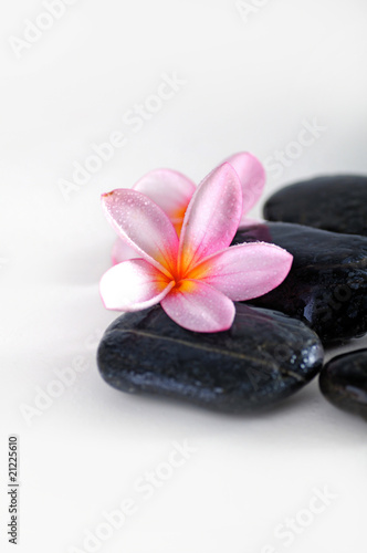 Flowers with stones