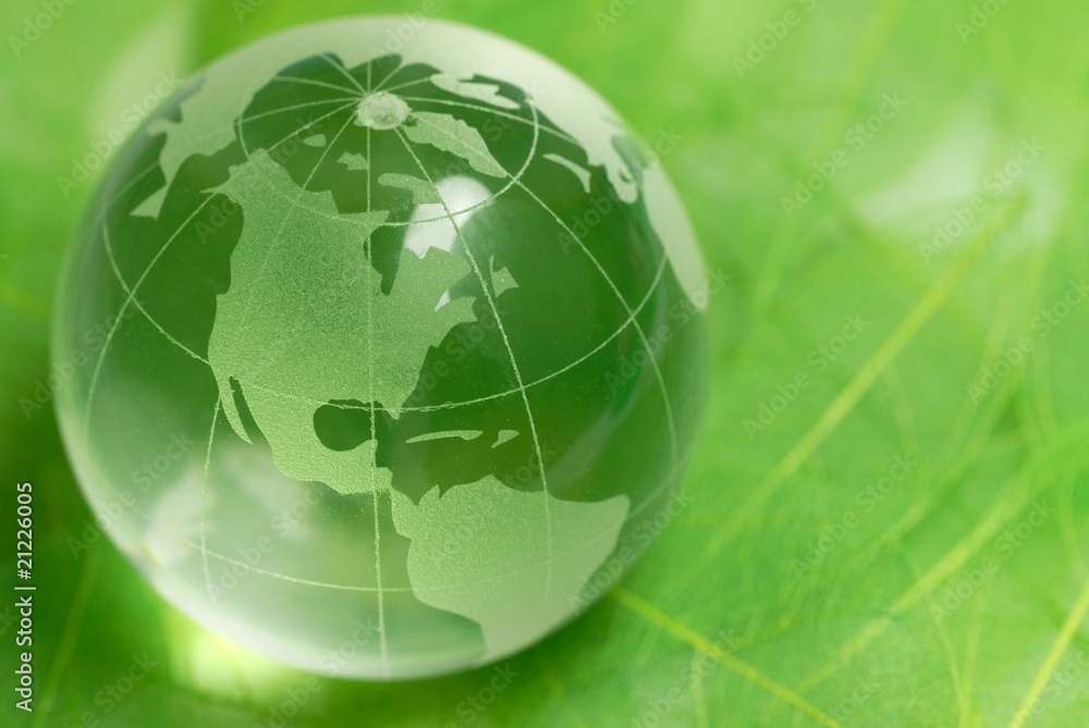 Crystal globe on green leaf Crystal globe on green leaf