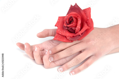 mains de femme et rose rouge
