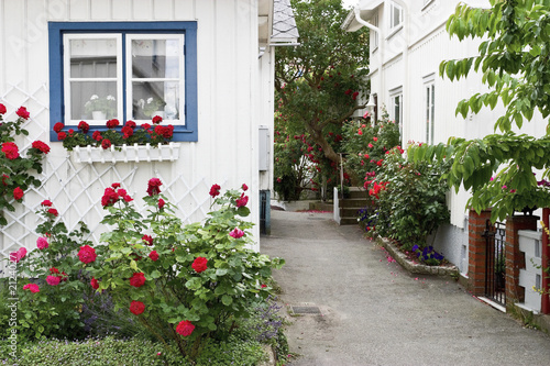 Photography House with red roses