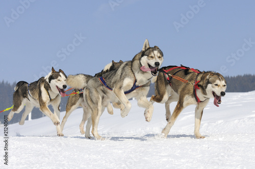 action grand froid © beatrice prève