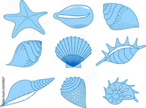 the collection of the cockleshells