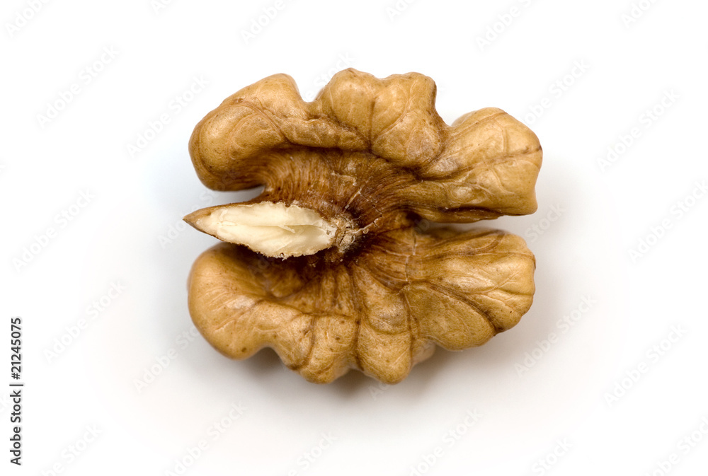 Walnut on a white background Walnut on a white background
