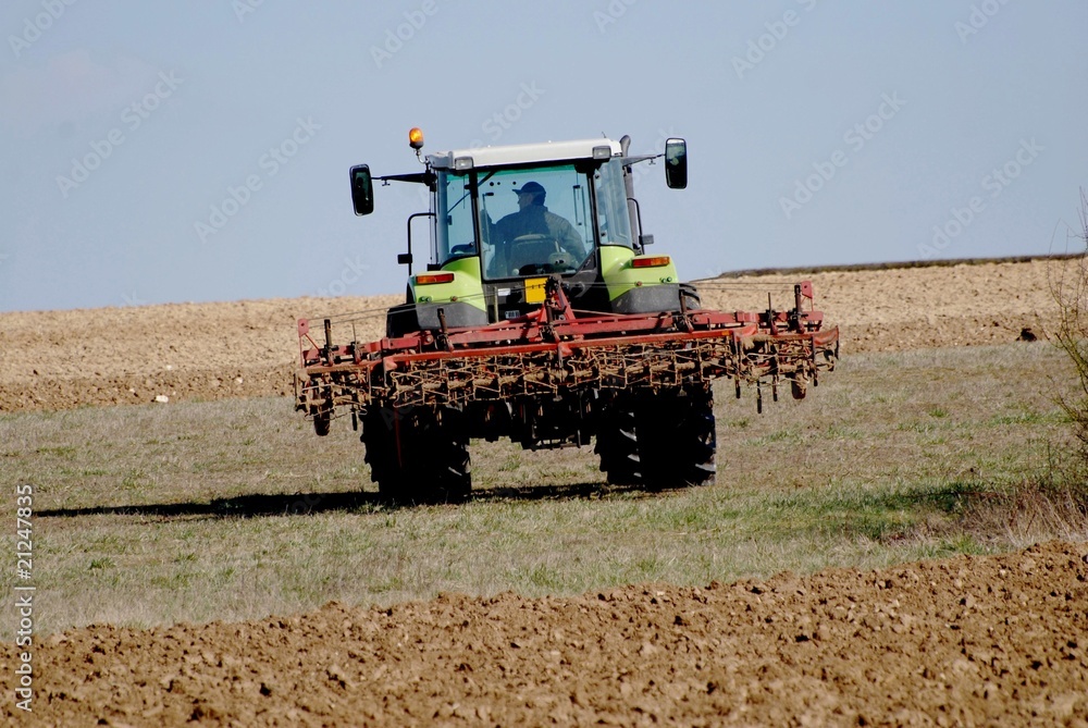 Fototapeta premium allé au champ