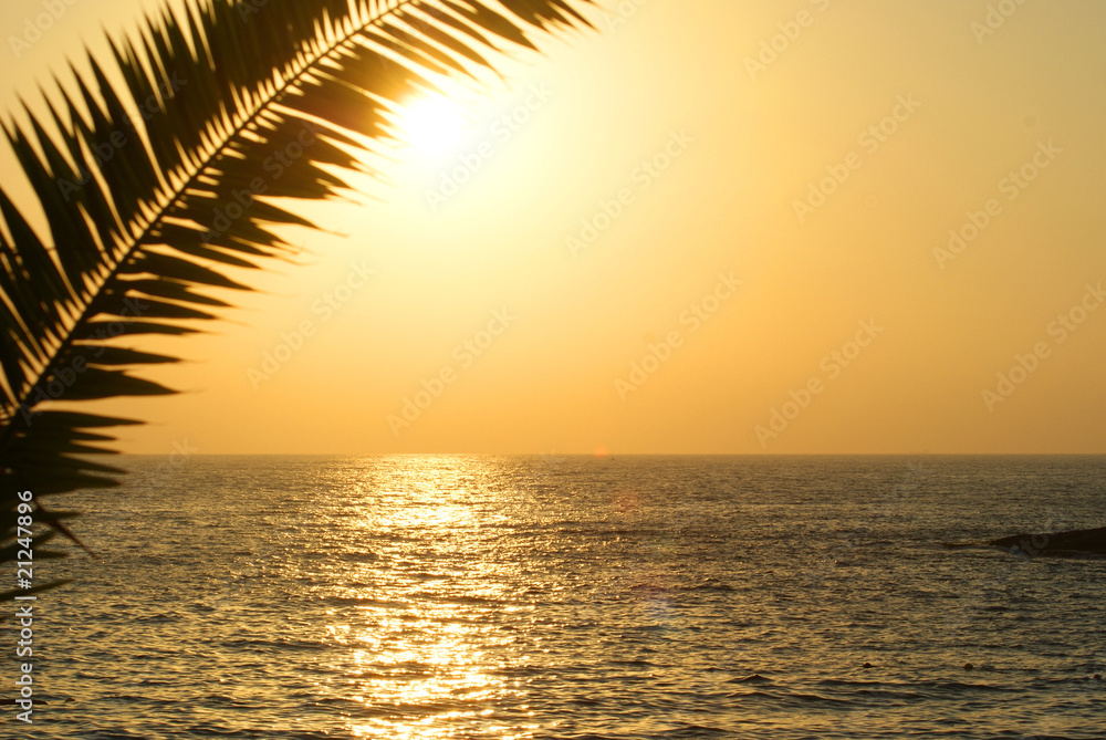 Fototapeta premium Yellow Sunset