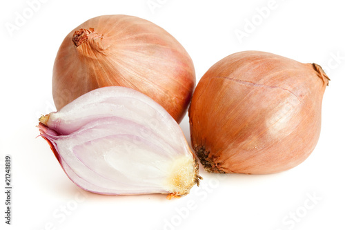 Shallot