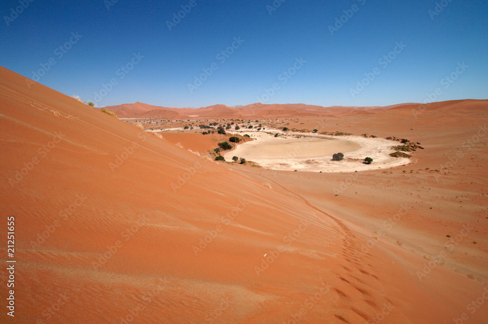dune sea of the Namib desert