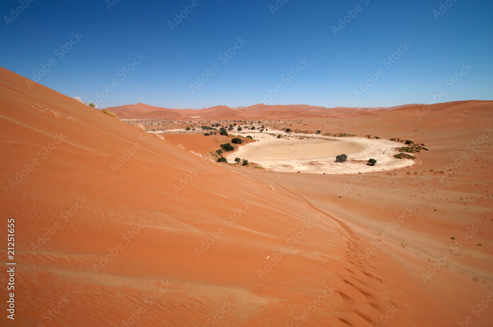 dune sea of the Namib desert dune sea of the Namib desert