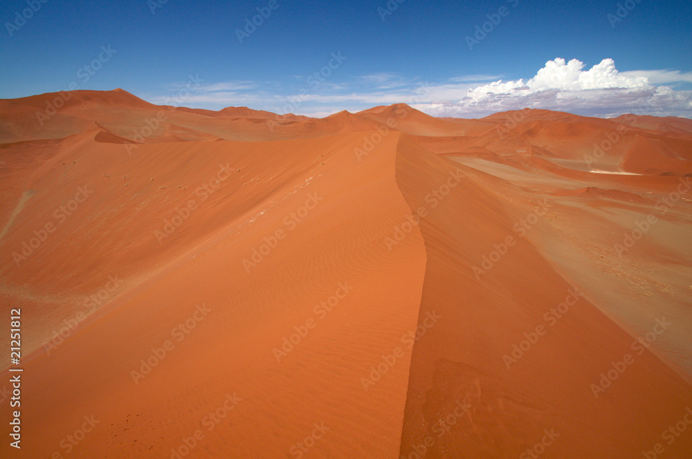 dune sea of the Namib desert dune sea of the Namib desert