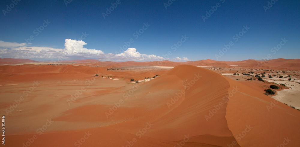 dune sea of the Namib desert