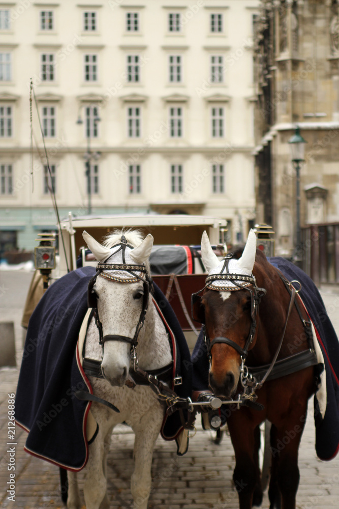 Vienna, Austria