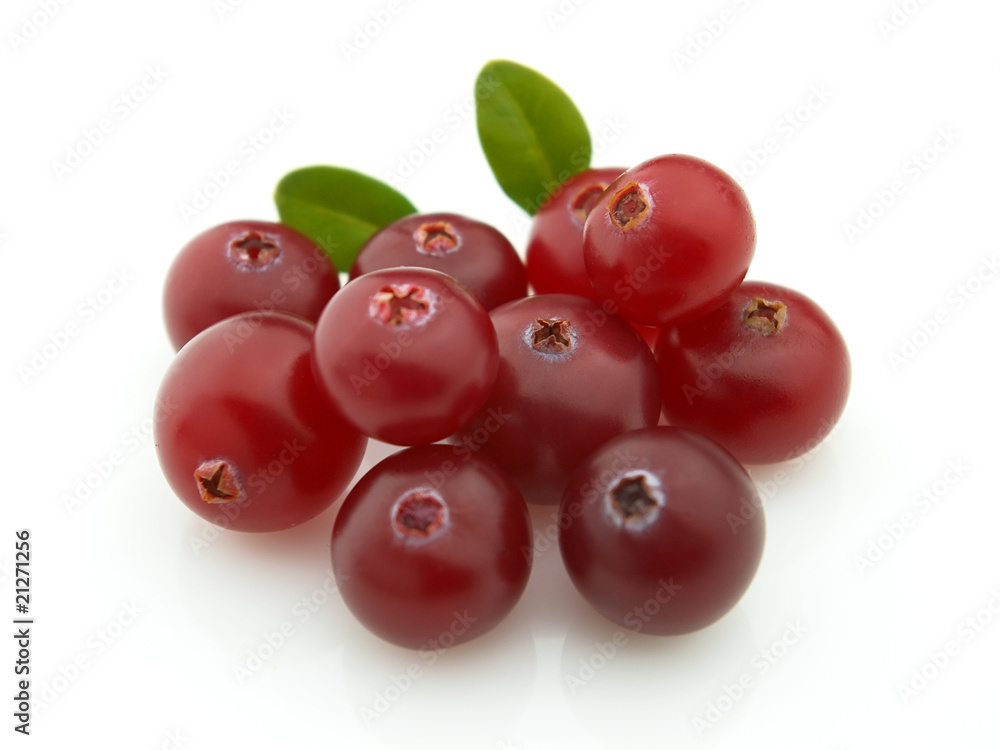 Cranberry Cranberry