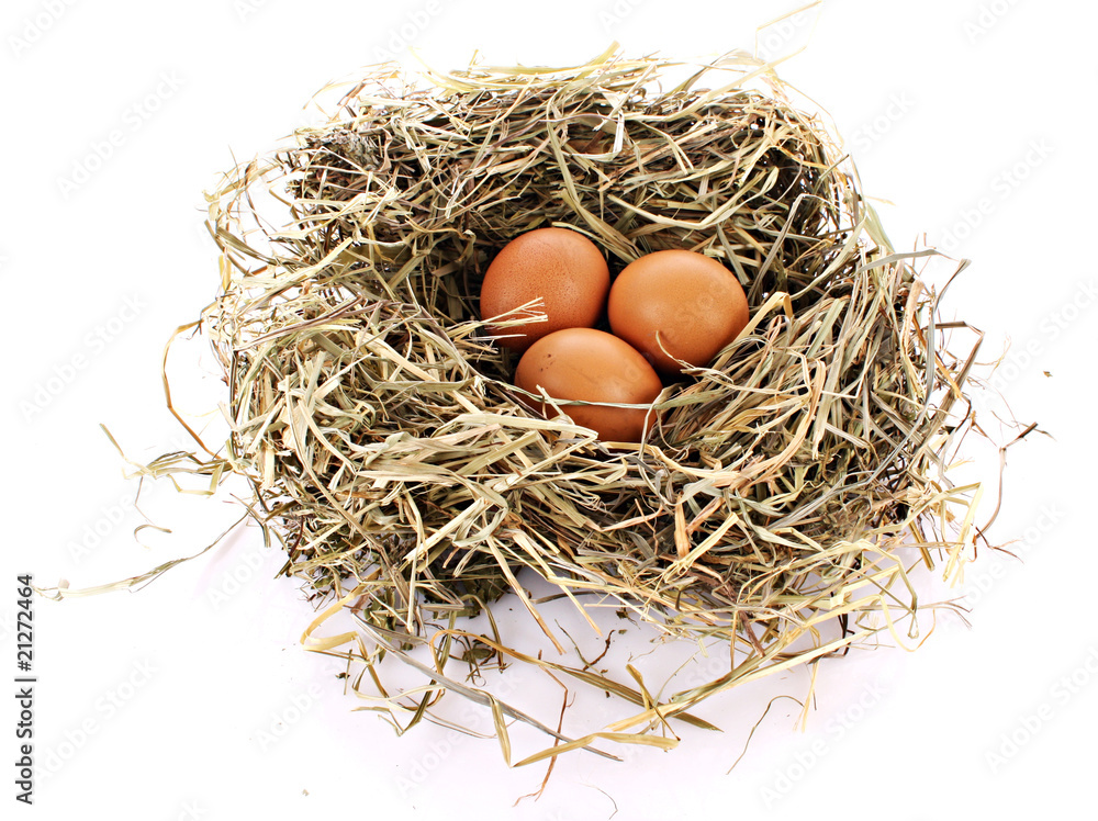 Bird nest with three eggs isolated on white. Bird nest with three eggs isolated on white.