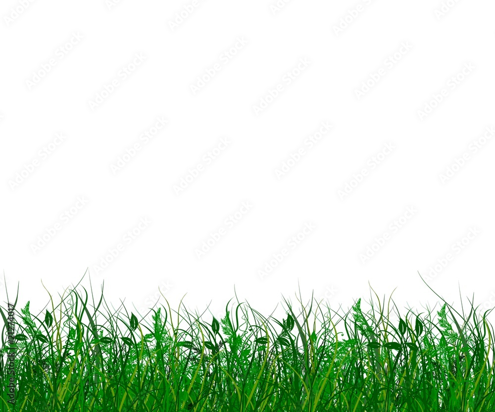 Obraz premium Frische grüne Wiese