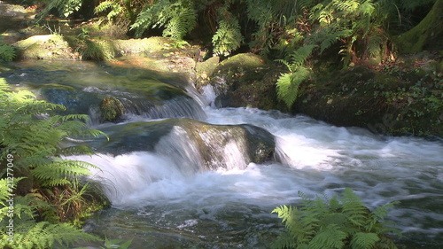 Pure fresh water waterfall in forest